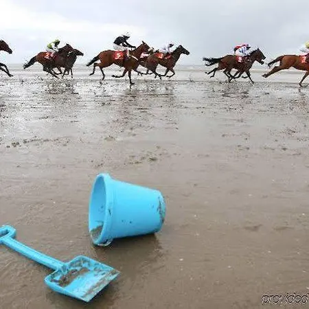 Bracken Court מלון